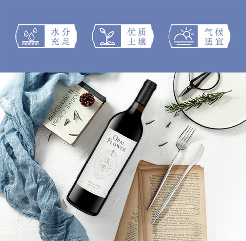 澳寶花老藤設(shè)拉子干紅葡萄...